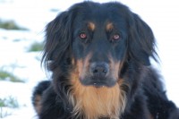 /album/fotogalerie/dsc-6347-jpg/