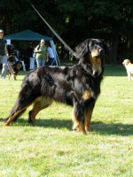 /album/fotogalerie/p9160289-jpg/