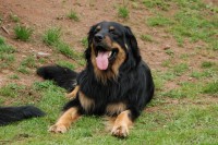 /album/fotogalerie/dsc-6642-jpg/