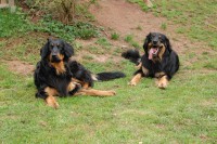 /album/fotogalerie/dsc-6640-jpg/