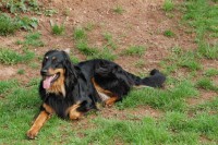 /album/fotogalerie/dsc-6518-jpg/