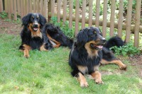 /album/fotogalerie/dsc-6546-jpg1/