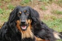 /album/fotogalerie/dsc-6672-jpg/