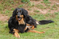 /album/fotogalerie/dsc-6673-jpg/