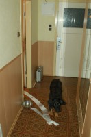 /album/fotogalerie/dsc-1301-jpg/