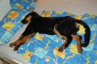 /album/fotogalerie/dsc-1304-jpg/