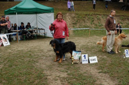 Špec.výstava SHK Podskalie 31.8.2012