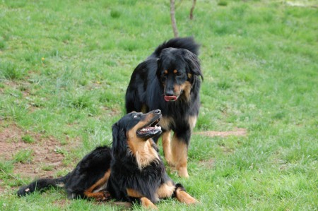 Láska na první pohled