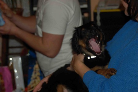 26.12.2009-2měsíce